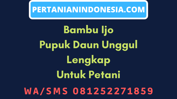 Bambu Ijo Pupuk Daun Unggul Lengkap Untuk Petani